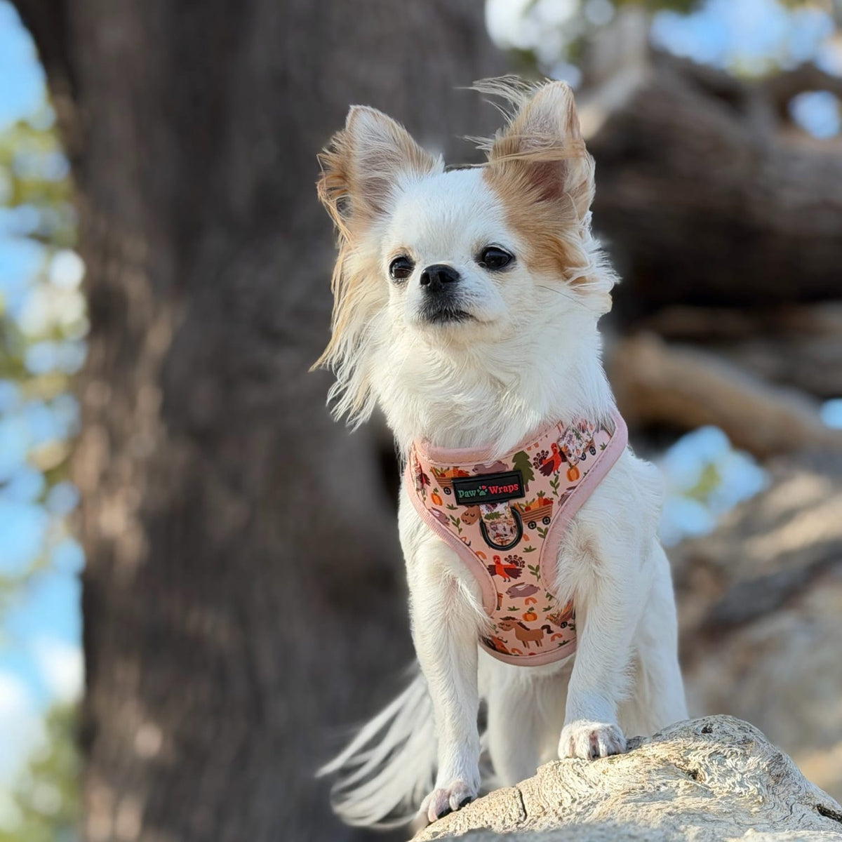 Paw Wraps Dog Harness Whimsical Farm No-Pull Neoprene Dog Harness
