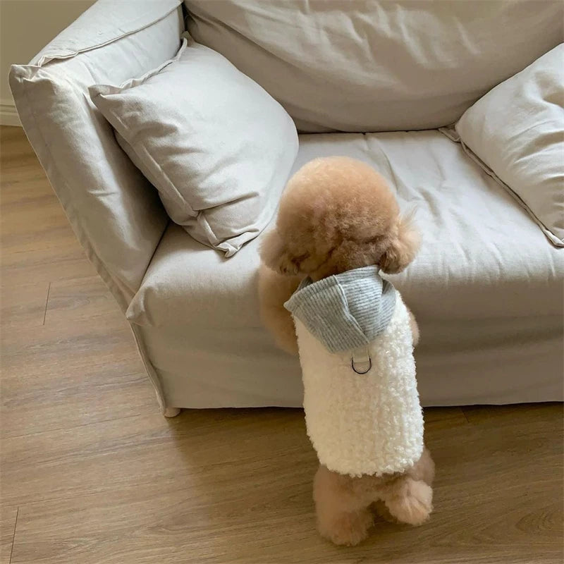 hoodies for dogs​  – Paw Wraps