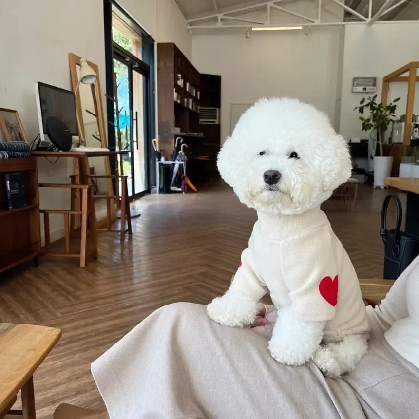 Love Heart Dog Sweater