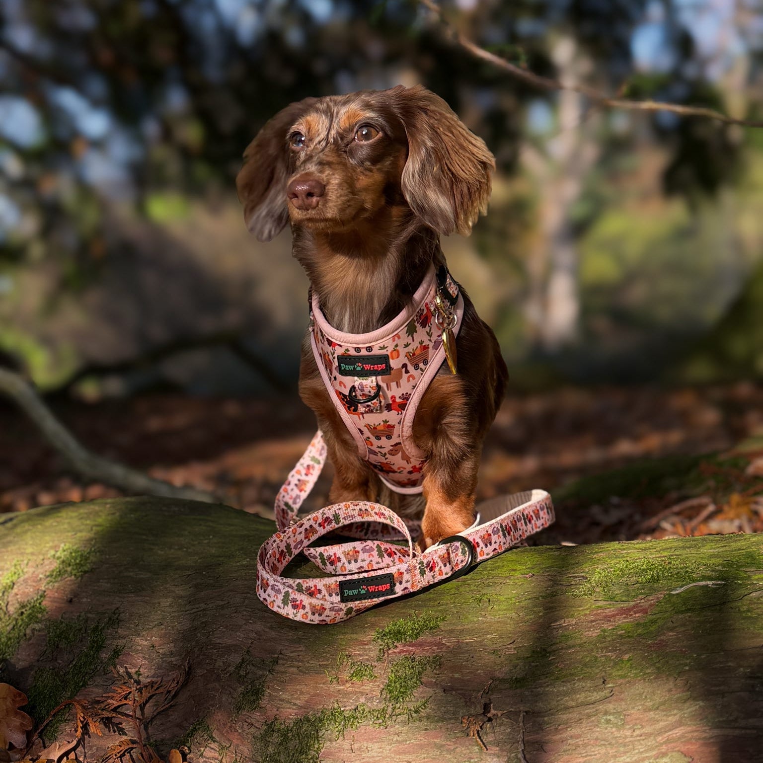 Paw Wraps Dog Harness S Whimsical Farm Print No-Pull Neoprene Dog Harness