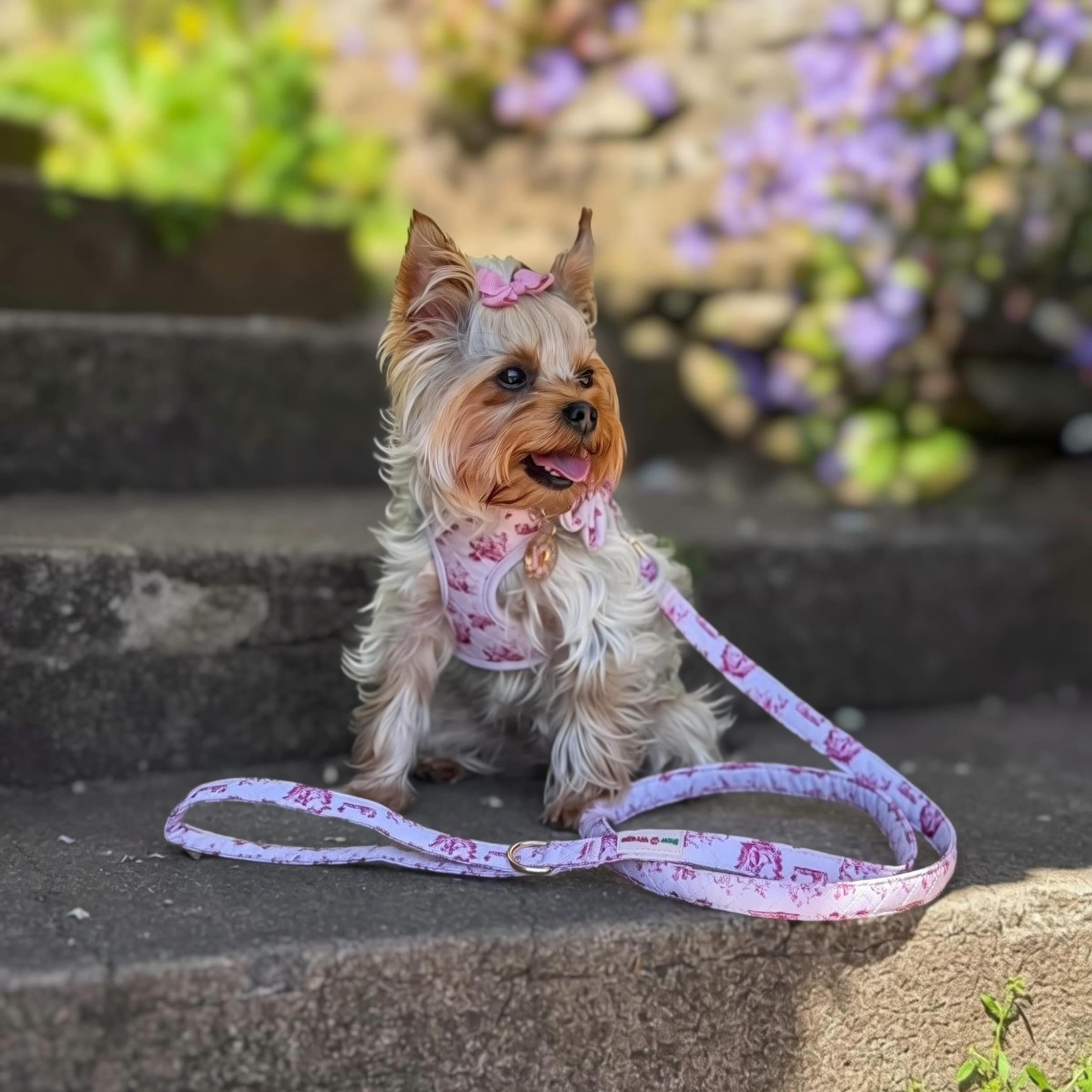 Paw Wraps Dog Lead Cherry Toile de Jouy Dog Lead