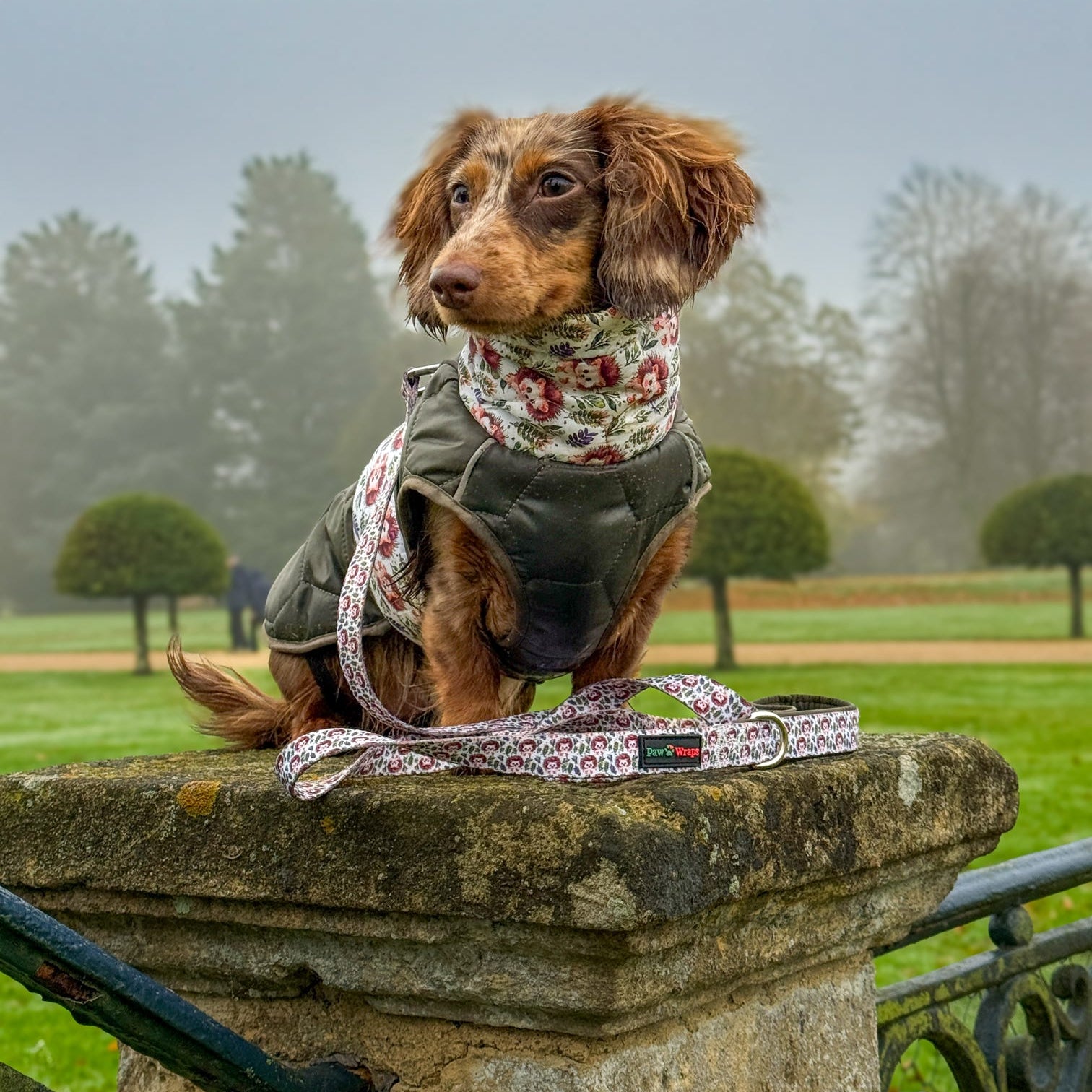 Paw Wraps Dog Lead Country Hedgehog Dog Lead