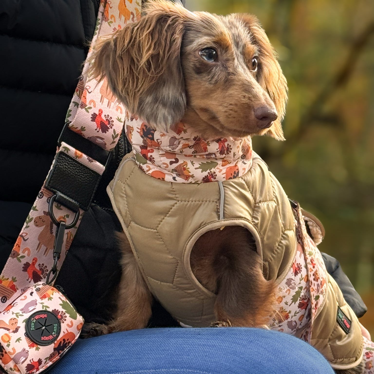 Paw Wraps Poop Bag Holder Whimsical Farm Poop Bag Holder