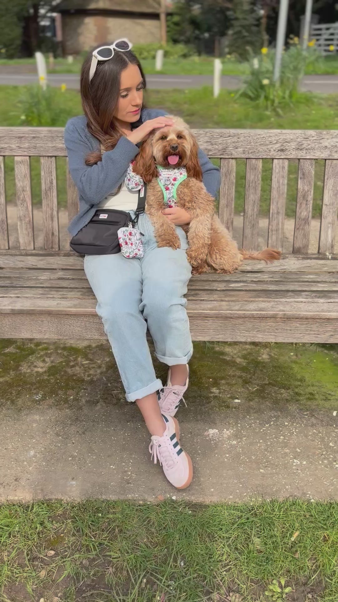 Dark haired girl sitting on a park bench with her fawn coloured cavapoo wearing a ladybirds and love hearts harness by Paw Wraps and the girl wearing a black dog walking bag crossbody by Paw wraps with Ladybird love hearts dog treats pouch attached.