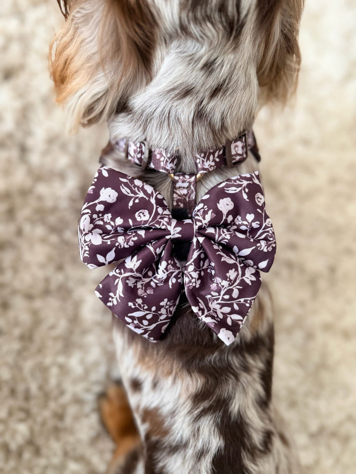 Paw Wraps Dog Sailor Bow Choco Teddy Floral Sailor Bow